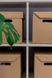 boxes in a shelf